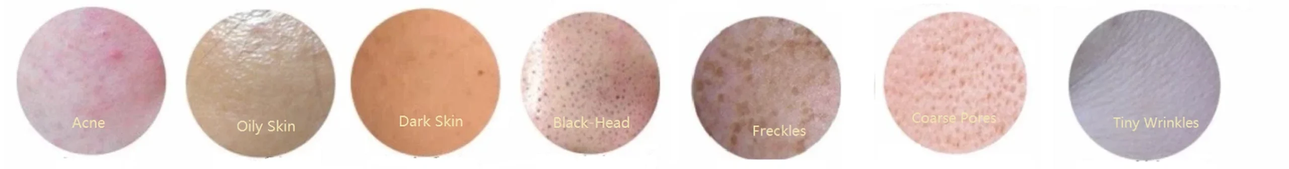 Applications of Sponge Spicules