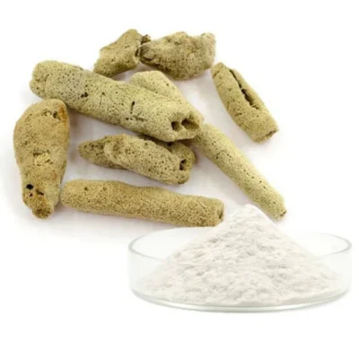 Spongilla_spicule_Extract_Powder_98__Hydrolyzed_Sponge