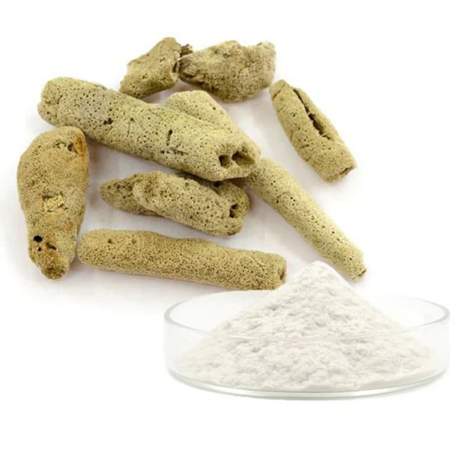 Spongilla_spicule_Extract_Powder_98__Hydrolyzed_Sponge