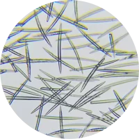 High-quality microscopic images of sponge spicules